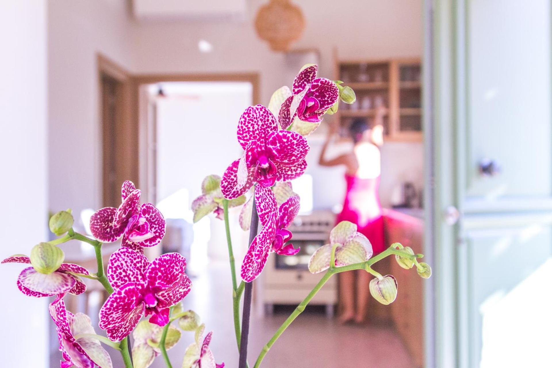 Petra Boutique Villas Arginonda 客房 照片
